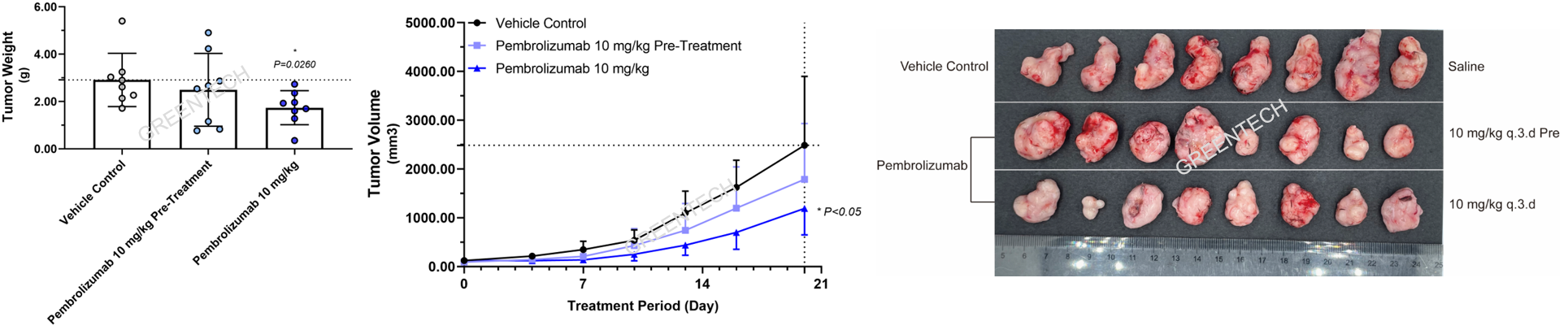 MC38 subcutaneous xenograft model (C57BL/6-hPD-1 mice).png