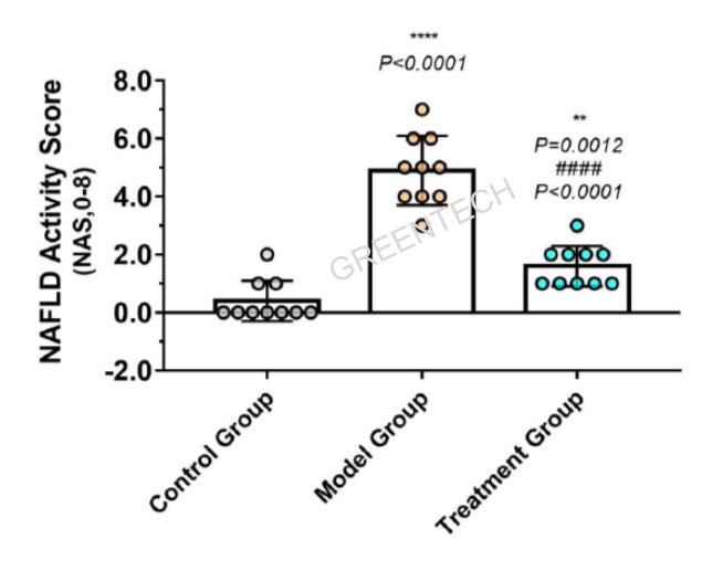 MCD饲料诱导小鼠NASH模型的疾病活动度评分