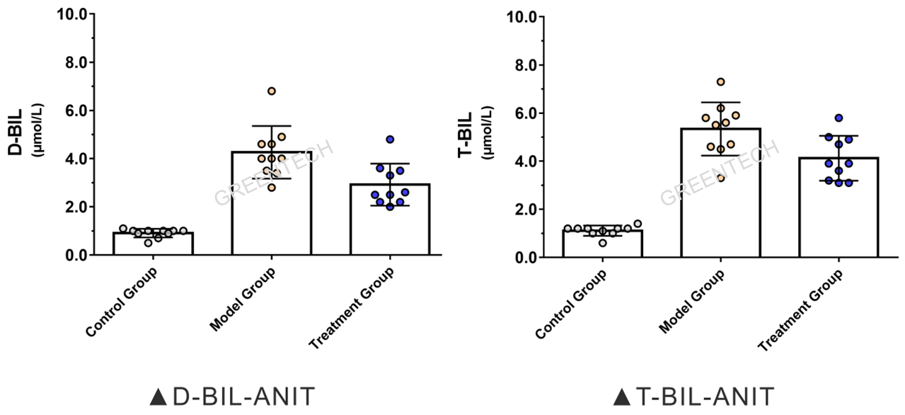 肝毒剂ANIT诱导SD大鼠4周后肝胆功能指标变化情况