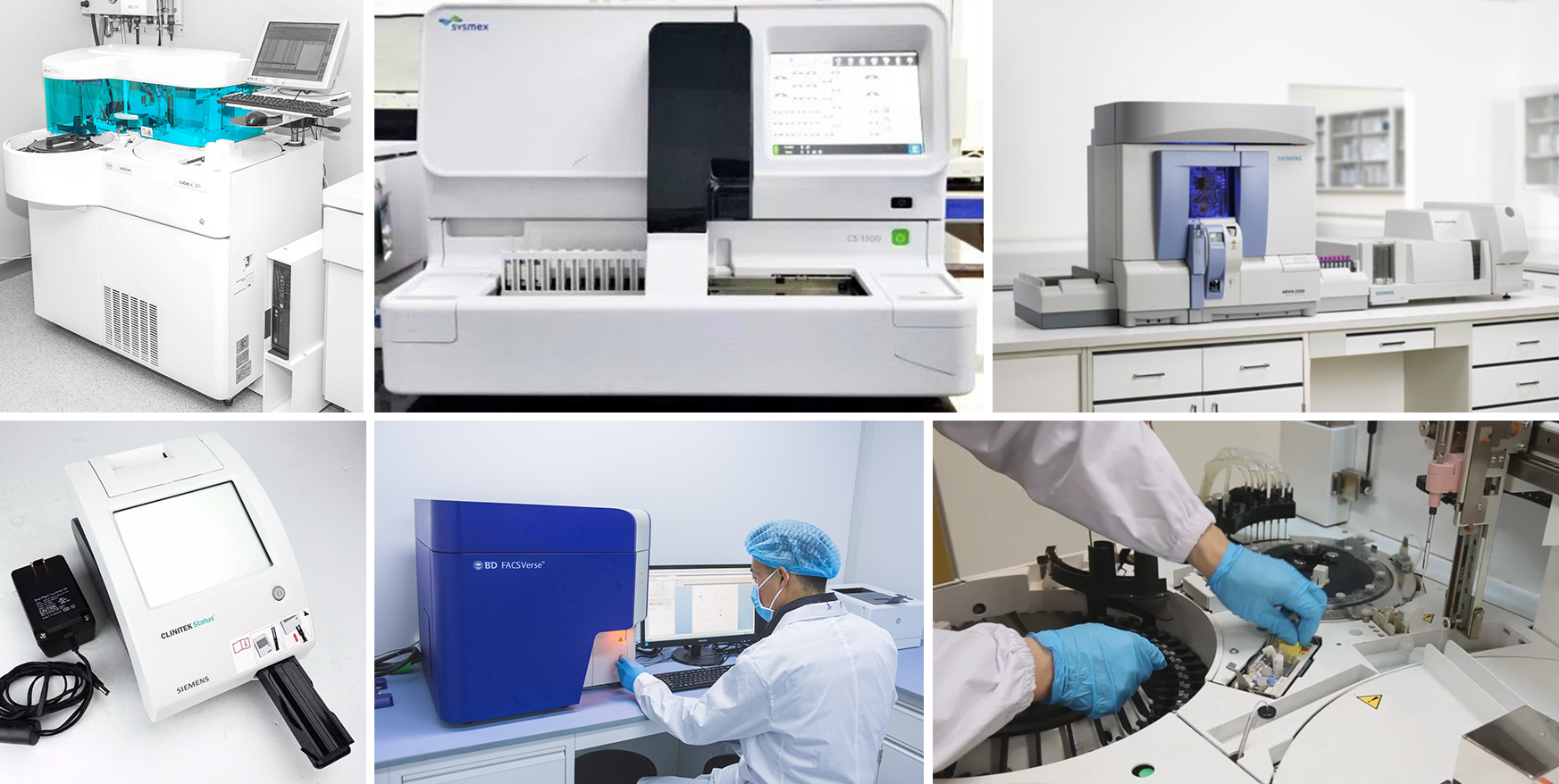 The clinical testing platform at Greentech Bioscience.png