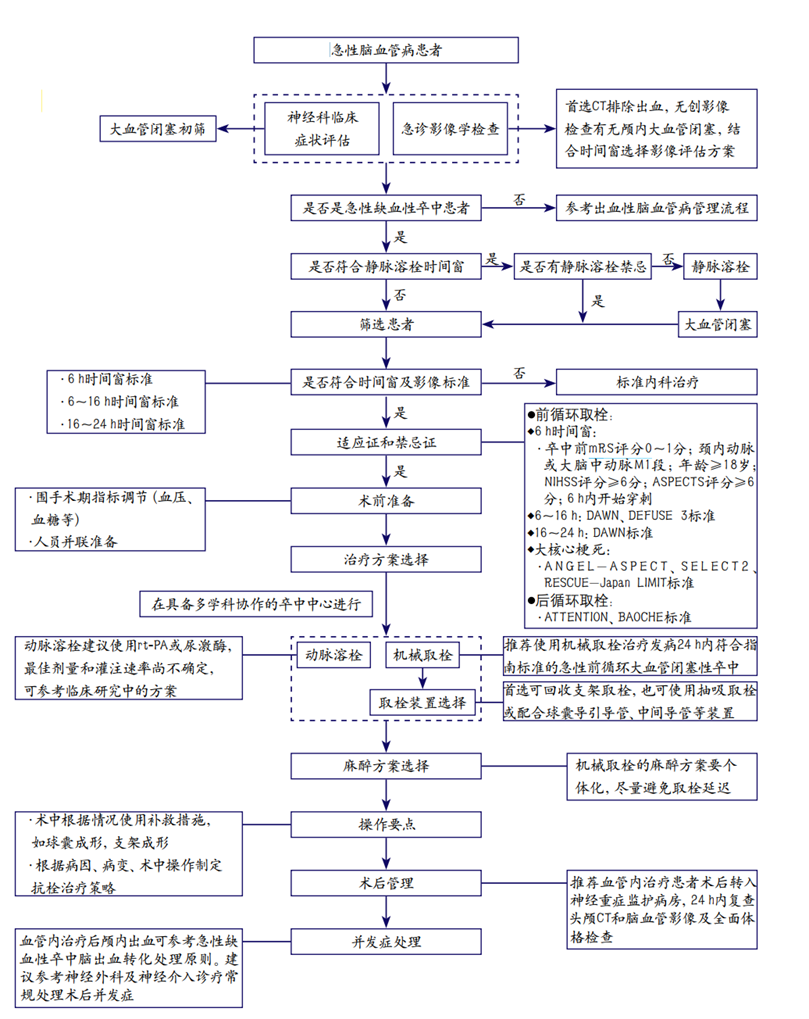 急性缺血性卒中血管内治疗筛选及救治流程.png