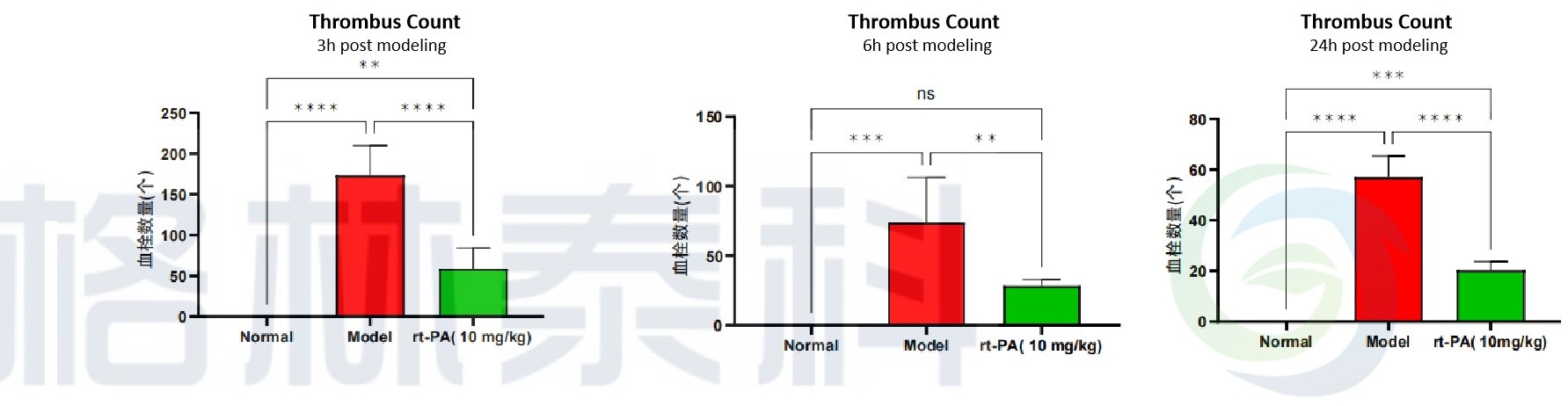 小鼠自体血栓肺栓塞模型组织病理学计数肺部血栓数量.jpg