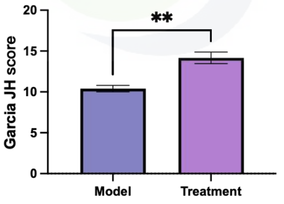 大鼠SAH模型Garcia JH评分.png