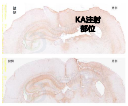 1765441725296861.png image.png