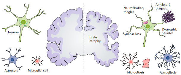 1770101662635605.png 1770101662635605.png