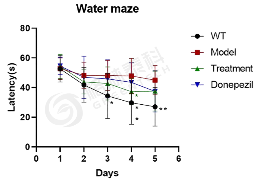 1770103050851376.png 1770103050851376.png