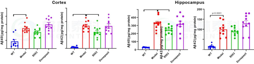 1770103112483060.png 1770103112483060.png