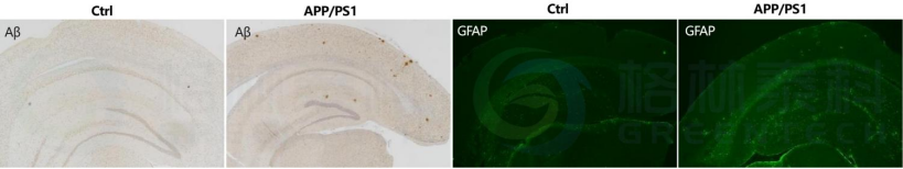 1770103229396978.png 1770103229396978.png