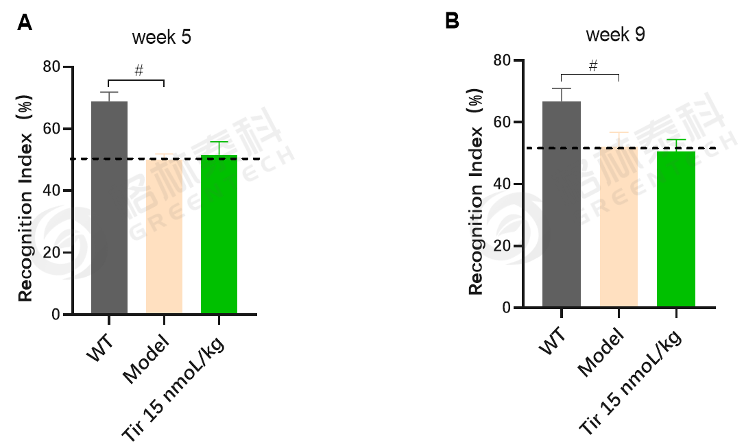 1770103560388693.png 1770103560388693.png