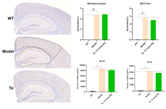 1770103906512487.png 1770103906512487.png