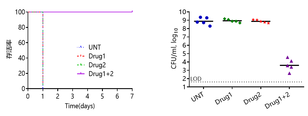 1779850737378597.png