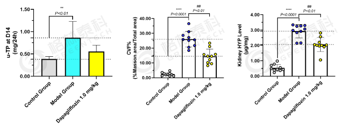 1791798436997898.png 1791798436997898.png
